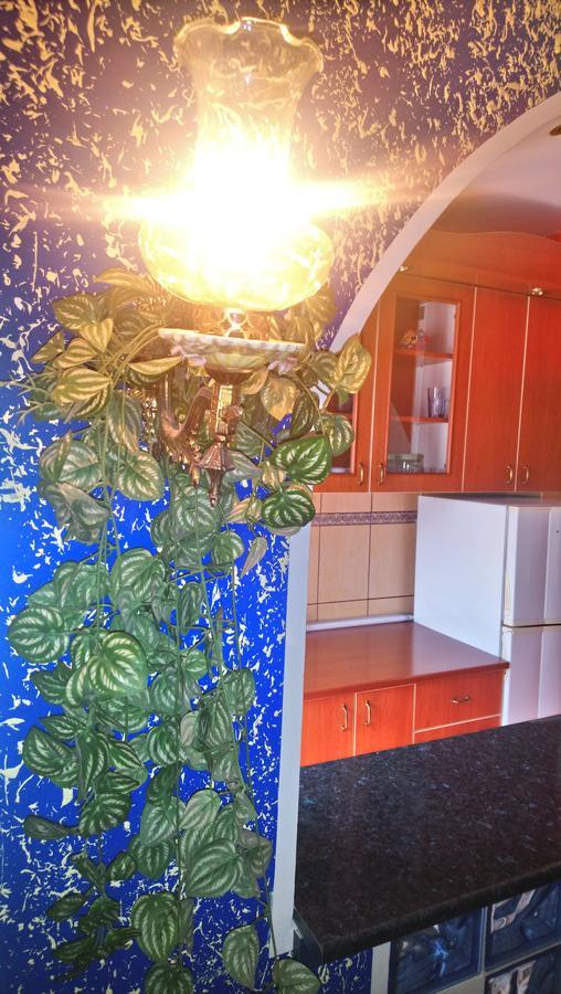 Ferienwohnung Garden Belgrad Exterior foto